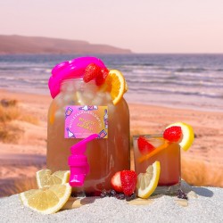 MEGA drink SEX on the BEACH 2,5 litra